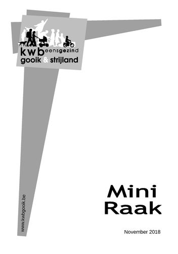 Kaft van Mini Raak 201811